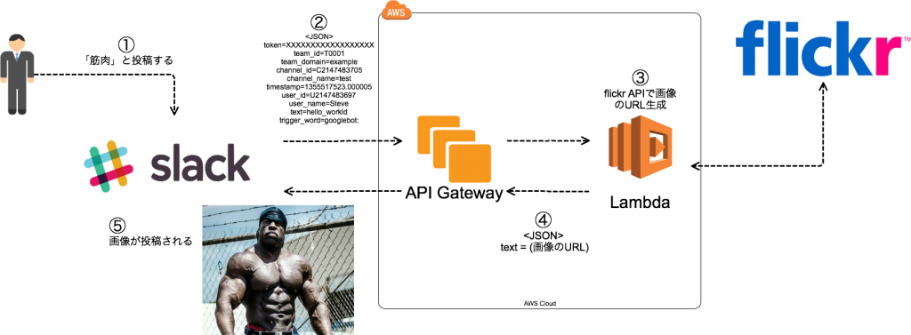muscle_bot382298